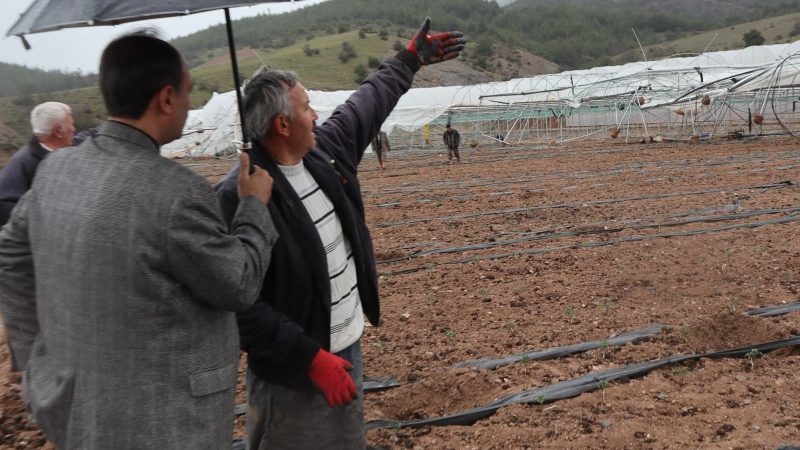 İl Tarım ve Orman Müdürü Hayrullah Göktekin’den Çiftçilere Ziyaret