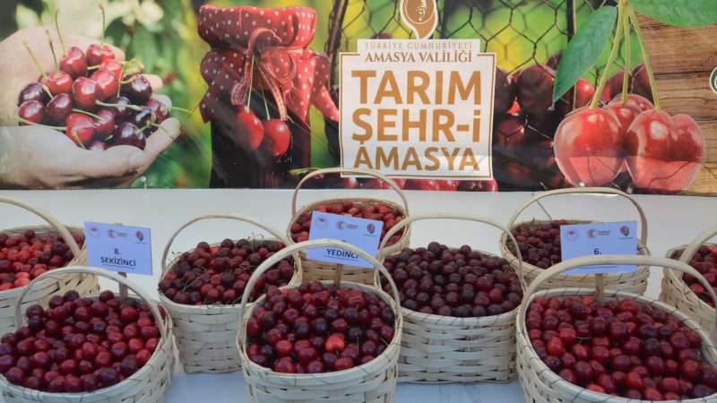 Amasya Kiraz Üretiminde Türkiye Üçüncüsü