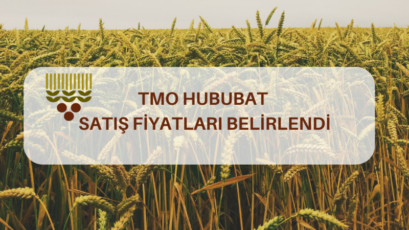 TMO Hububat Satış Fiyatları Belirlendi