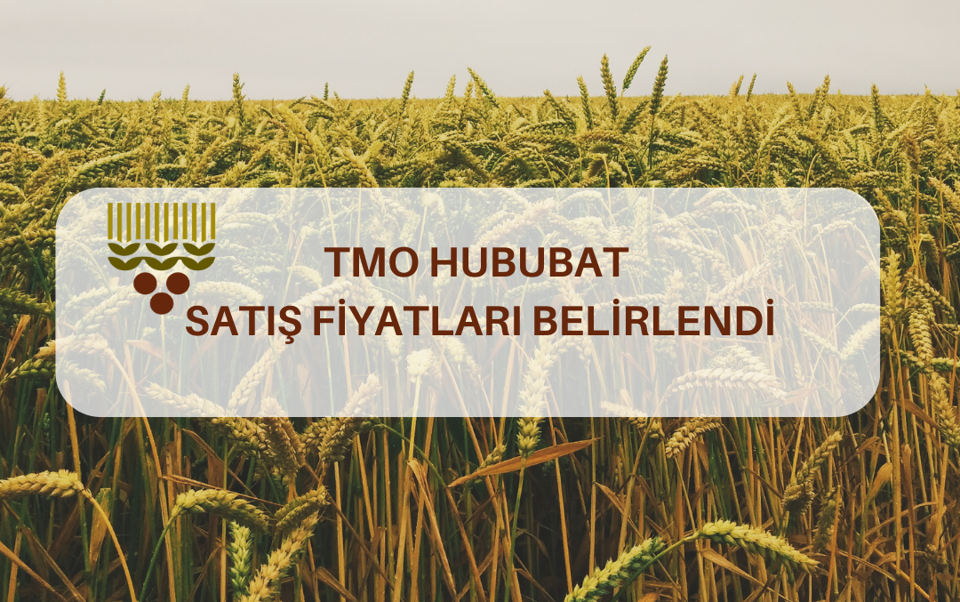 TMO Hububat Satış Fiyatları Belirlendi