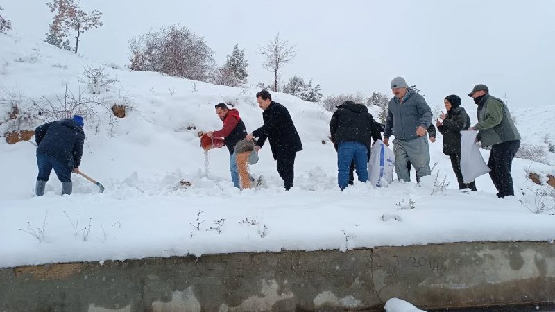 Amasya’da Yaban Hayvanları İçin Doğaya Yem Bırakıldı